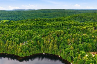 Magnifique terrain boise de 49 525 pi2 offrant environ 134 pieds - photo 6