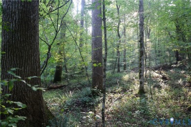 Lake Acreage For Sale in Boydton, Virginia