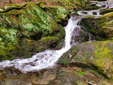 For the first time since 1984 the beautiful Majestic Falls - photo 3