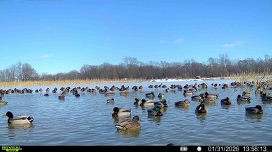 (private lake, pond, creek) Acreage For Sale in Humphrey Arkansas
