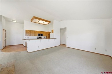 Todd R Schroedel, United Country Sneffels Realty, C:,,: Golf - photo 11