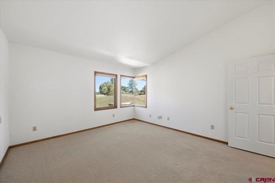 Todd R Schroedel, United Country Sneffels Realty, C:,,: Golf - photo 12