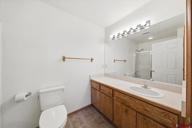 Todd R Schroedel, United Country Sneffels Realty, C:,,: Golf - photo 16
