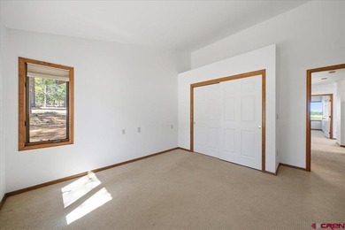 Todd R Schroedel, United Country Sneffels Realty, C:,,: Golf - photo 18