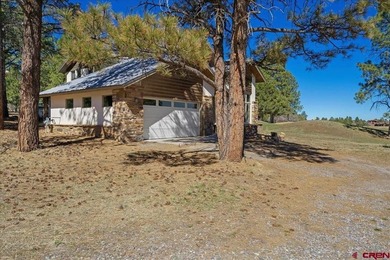 Todd R Schroedel, United Country Sneffels Realty, C:,,: Golf - photo 23