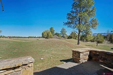 Todd R Schroedel, United Country Sneffels Realty, C:,,: Golf - photo 25
