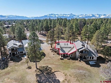 Todd R Schroedel, United Country Sneffels Realty, C:,,: Golf - photo 26