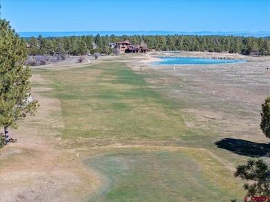 Todd R Schroedel, United Country Sneffels Realty, C:,,: Golf - photo 30