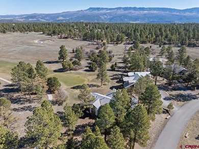 Todd R Schroedel, United Country Sneffels Realty, C:,,: Golf - photo 31