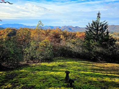 Some homes have *a view*,this one IS the view. Stretching across