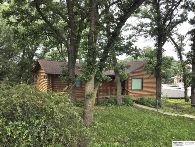 Beaver Lake Home For Sale in Plattsmouth Nebraska