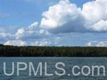 Stanley Lake Acreage For Sale in Iron River Michigan