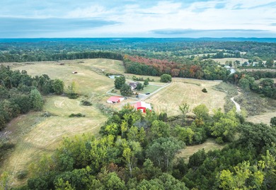 (private lake, pond, coastal) Home For Sale in Irondale Missouri