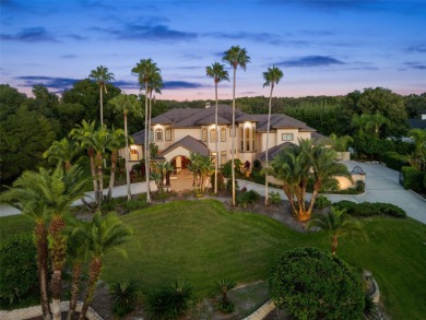 Lake Tarpon Home For Sale in Tarpon Springs Florida