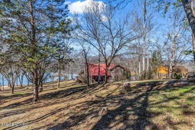 Tennessee lakefront property with amazing sunsets on Watts Bar - photo 3