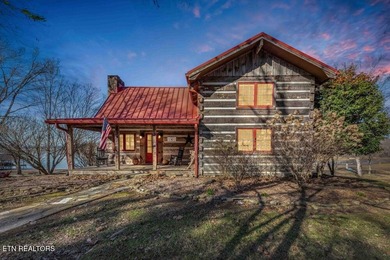 Tennessee lakefront property with amazing sunsets on Watts Bar - photo 4