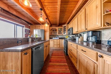 Tennessee lakefront property with amazing sunsets on Watts Bar - photo 10