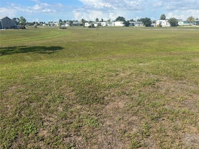 OWN YOUR OWN LAND in the highly sought-after Village of Holiday - photo 1