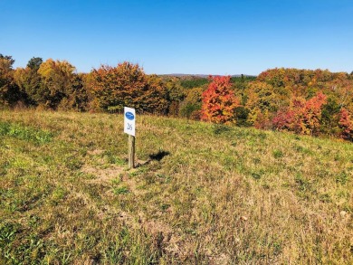 Lake Lot For Sale in Spring City, Tennessee