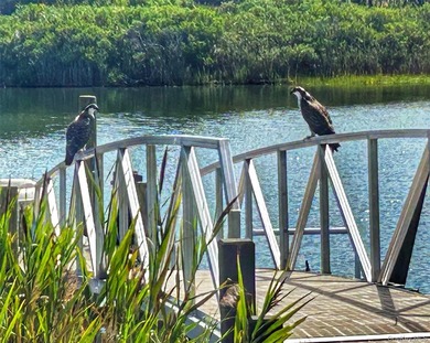 Perfectly sited on a protected inlet on West Lake, with direct - photo 33