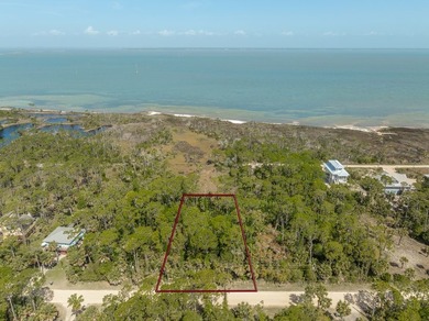 St George Island Bayview Lot abutting preserved State land - photo 3