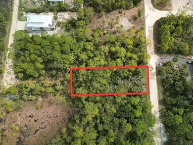 St George Island Bayview Lot abutting preserved State land - photo 8
