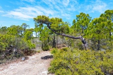 Discover the beauty and tranquility of the East End of St - photo 6