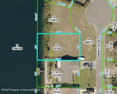 Lake Lot For Sale in Spring Hill, Florida