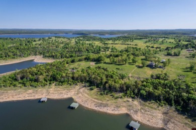 Lake Lot For Sale in Lead Hill, Arkansas