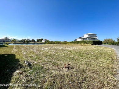 The seawall is in and the lot is cleared just waiting for the - photo 3