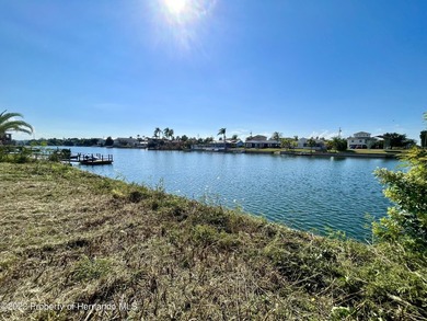 The seawall is in and the lot is cleared just waiting for the - photo 6