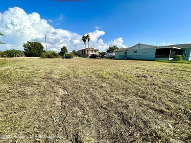 The seawall is in and the lot is cleared just waiting for the - photo 8