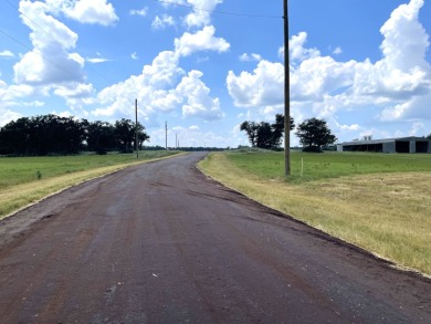 #141 Marquez-+/-5.01 Acres at Horseshoe Lake Ranch - photo 26