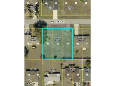 Rare opportunity to own a TRIPLE lot in NE Cape Coral that is - photo 1