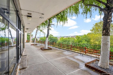 Welcome to Kingsbridge Terrace! This spacious one-bedroom