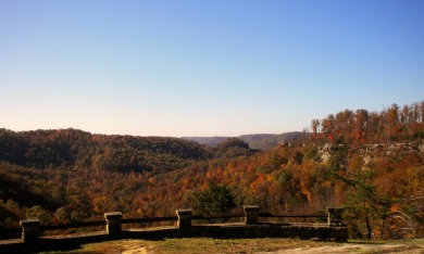 .73 Acre Lake View Lake Cumberland Building Lot w Close Ramp - photo 24