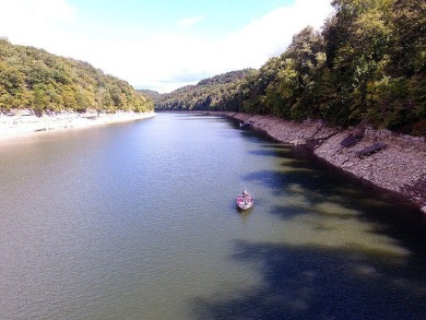 .73 Acre Lake View Lake Cumberland Building Lot w Close Ramp - photo 29
