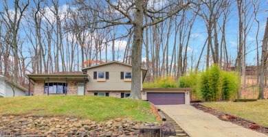 Welcome to your dream home at Lake Mohawk! This split-level - Lake Home For Sale in Malvern, Ohio