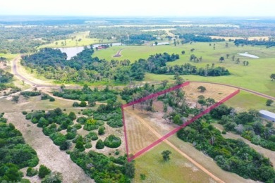 #141 Marquez-+/-5.01 Acres at Horseshoe Lake Ranch - photo 22