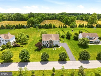 Welcome to 461 Norland Drive, beautifully positioned within the - photo 5