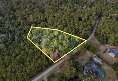 Rare opportunity to own 1 acre in Georgetown with Residential - photo 1