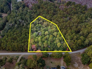 Rare opportunity to own 1 acre in Georgetown with Residential - photo 2