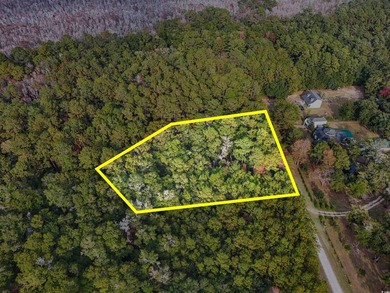 Rare opportunity to own 1 acre in Georgetown with Residential - photo 8