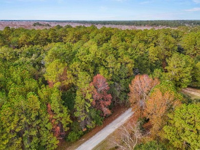 Rare opportunity to own 1 acre in Georgetown with Residential - photo 10