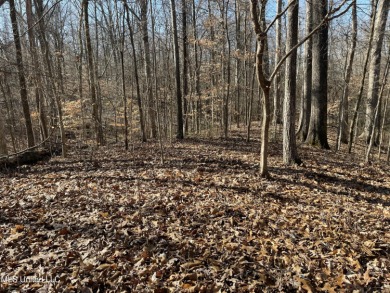 (private lake, pond, coastal) Lot For Sale in Hernando Mississippi