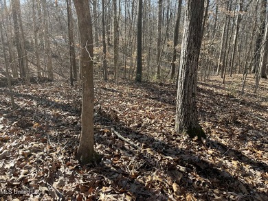 ATTENTION BUYERS: BUILD HERE! Corner Lot in well established - photo 2