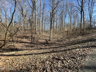 ATTENTION BUYERS: BUILD HERE! Corner Lot in well established - photo 6