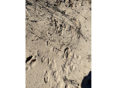 #141 Marquez-+/-5.01 Acres at Horseshoe Lake Ranch - photo 25