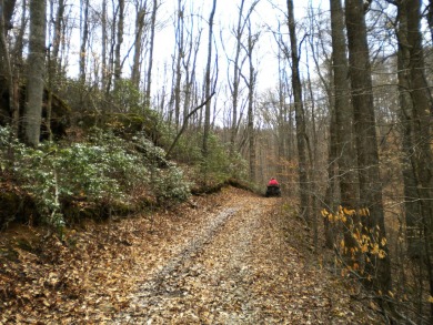 .67 Acre Lake View Lake Cumberland Building Lot w Close Ramp - photo 14