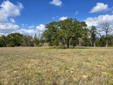 #141 Marquez-+/-5.01 Acres at Horseshoe Lake Ranch - photo 2